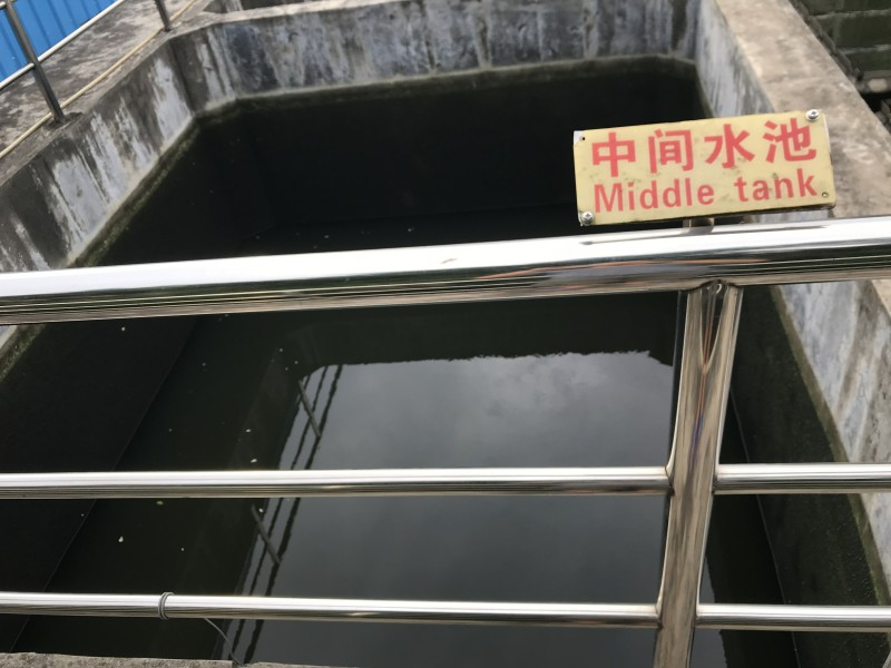 鹤(he)山某某(mou)公司(si)